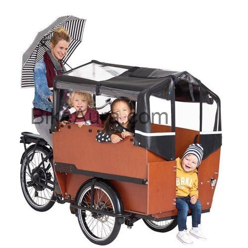 Babboe Max-E avaliação e ficha técnica